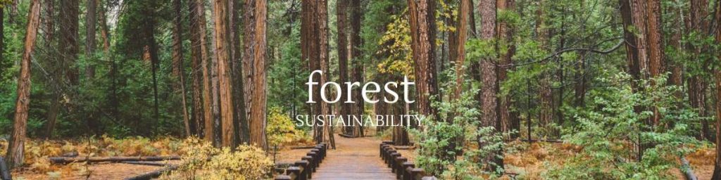 A Look At Forest Sustainability
