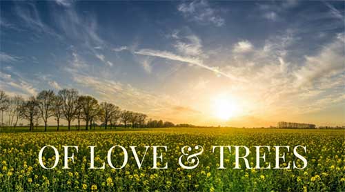 Of love and trees